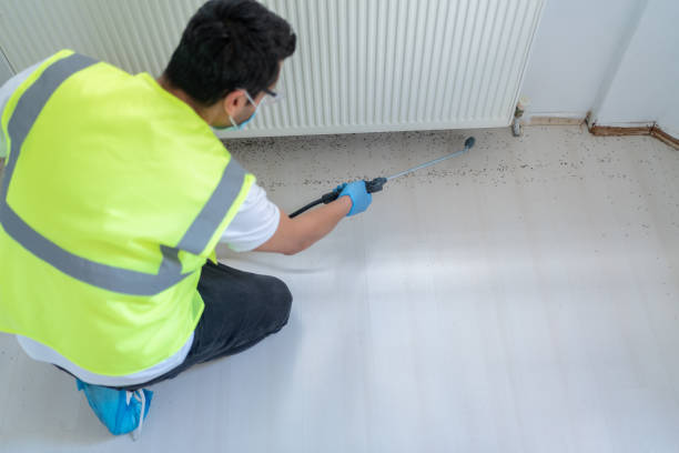 Best Fumigation Services  in Blue Jay, OH